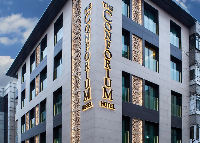 Отель The Conforium