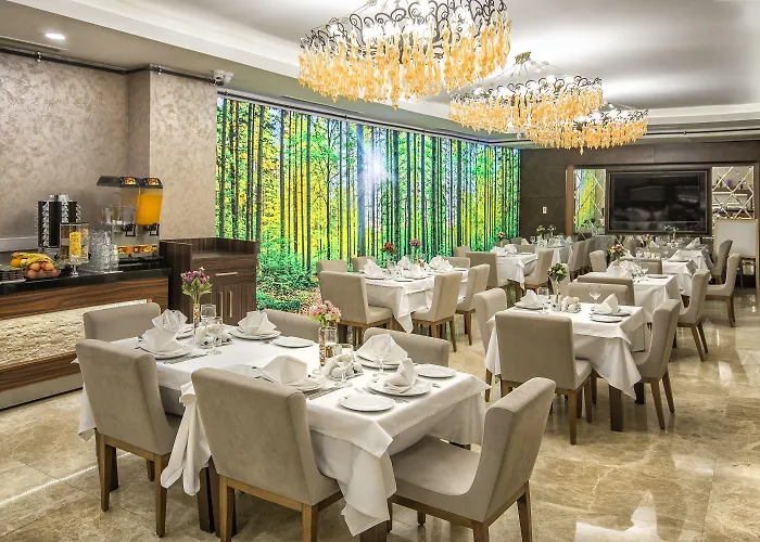 Отель The Conforium