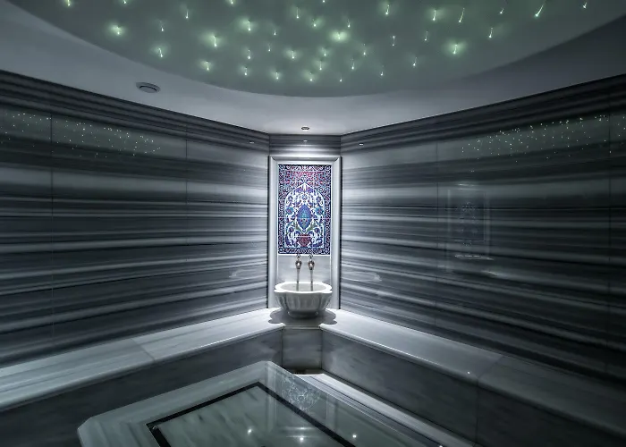 Отель The Conforium